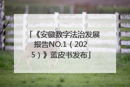 《安徽数字法治发展报告NO.1（2025）》蓝皮书发布