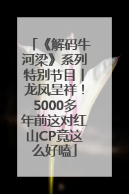 《解码牛河梁》系列特别节目丨龙凤呈祥！5000多年前这对红山CP竟这么好嗑