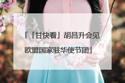 「甘快看」胡昌升会见欧盟国家驻华使节团