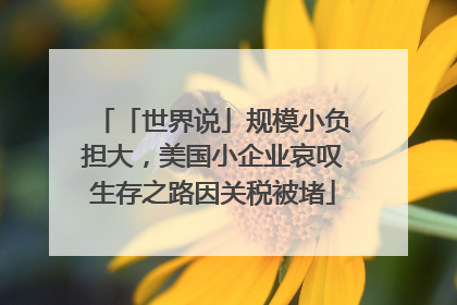「世界说」规模小负担大，美国小企业哀叹生存之路因关税被堵