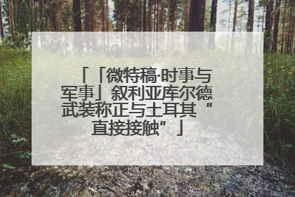 「微特稿·时事与军事」叙利亚库尔德武装称正与土耳其“直接接触”