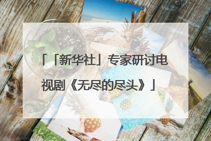 「新华社」专家研讨电视剧《无尽的尽头》