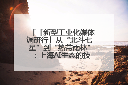「新型工业化媒体调研行」从“北斗七星”到“热带雨林”：上海AI生态的技术商业共生密码