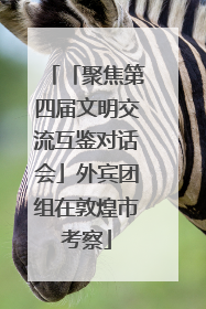 「聚焦第四届文明交流互鉴对话会」外宾团组在敦煌市考察