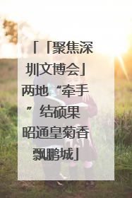 「聚焦深圳文博会」两地“牵手”结硕果 昭通皇菊香飘鹏城