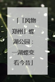 「风物郑州」蝶湖公园：一湖蝶变看今昔