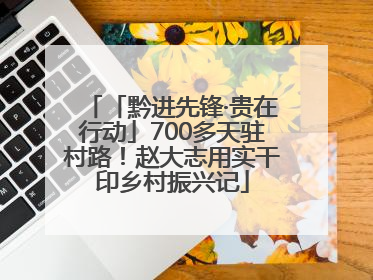 「黔进先锋·贵在行动」700多天驻村路！赵大志用实干印乡村振兴记