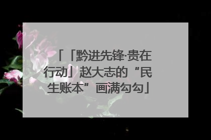 「黔进先锋·贵在行动」赵大志的“民生账本”画满勾勾