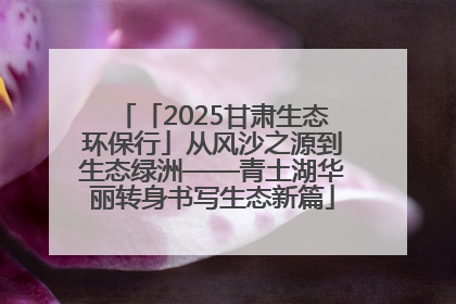 「2025甘肃生态环保行」从风沙之源到生态绿洲——青土湖华丽转身书写生态新篇