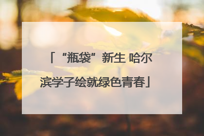 “瓶袋”新生 哈尔滨学子绘就绿色青春