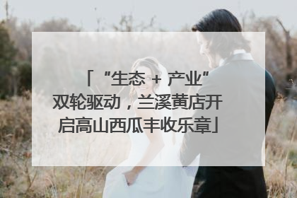 “生态 + 产业”双轮驱动，兰溪黄店开启高山西瓜丰收乐章