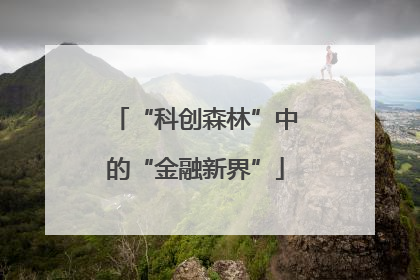 “科创森林”中的“金融新界”