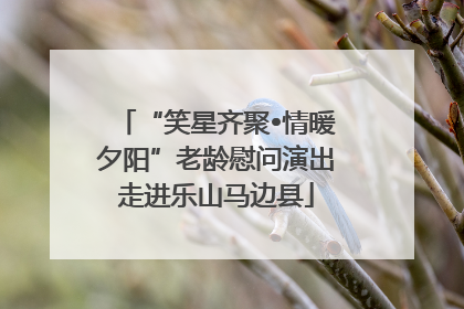 “笑星齐聚•情暖夕阳”老龄慰问演出走进乐山马边县