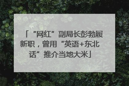 “网红”副局长彭勃履新职，曾用“英语+东北话”推介当地大米