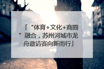 “体育+文化+商圈”融合，苏州河城市龙舟邀请赛向新而行
