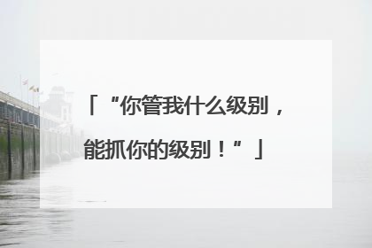 “你管我什么级别，能抓你的级别！”