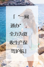 “一网通办”，全力为夏收生产保驾护航