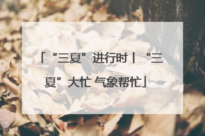 “三夏”进行时丨“三夏”大忙 气象帮忙