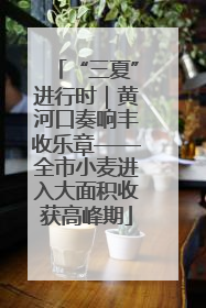 “三夏”进行时｜黄河口奏响丰收乐章——全市小麦进入大面积收获高峰期