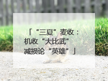 “三夏”麦收：机收“大比武” 减损论“英雄”