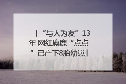 “与人为友”13年 网红麋鹿“点点”已产下8胎幼崽