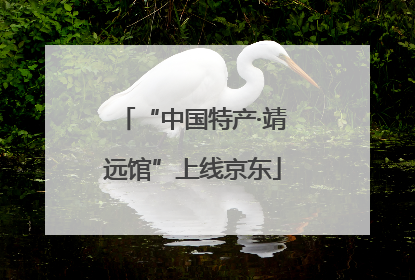 “中国特产·靖远馆”上线京东