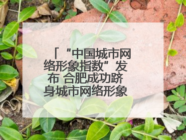 “中国城市网络形象指数”发布 合肥成功跻身城市网络形象榜单第一方阵