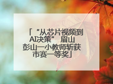 “从芯片视频到AI决策” 眉山彭山一小教师斩获市赛一等奖