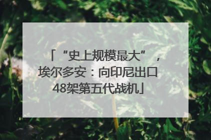 “史上规模最大”，埃尔多安：向印尼出口48架第五代战机