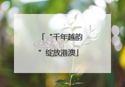 “千年越韵”绽放港澳