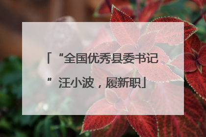 “全国优秀县委书记”汪小波，履新职