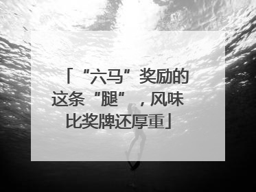 “六马”奖励的这条“腿”，风味比奖牌还厚重