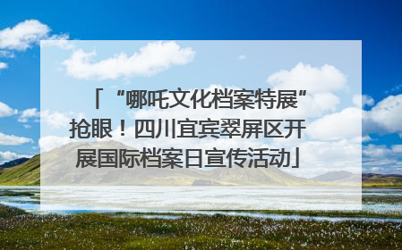 “哪吒文化档案特展”抢眼！四川宜宾翠屏区开展国际档案日宣传活动