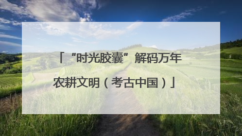 “时光胶囊”解码万年农耕文明（考古中国）