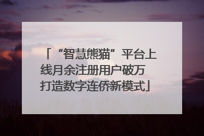 “智慧熊猫”平台上线月余注册用户破万 打造数字连侨新模式