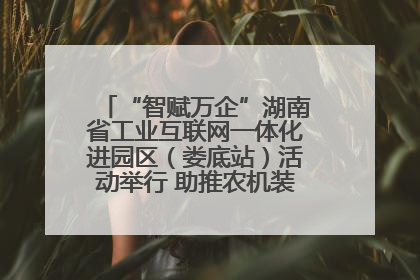 “智赋万企”湖南省工业互联网一体化进园区（娄底站）活动举行 助推农机装备产业高质量发展
