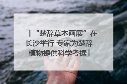 “楚辞草木画展”在长沙举行 专家为楚辞植物提供科学考据
