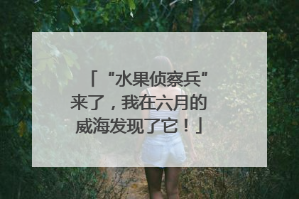 “水果侦察兵”来了，我在六月的威海发现了它！