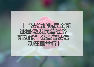 “法治护航民企新征程·激发民营经济新动能”公益普法活动在昆举行