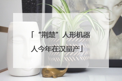 “荆楚”人形机器人今年在汉量产