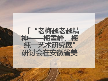 “老梅越老越精神——梅雪峰、梅纯一艺术研究展”研讨会在安徽省美术馆召开