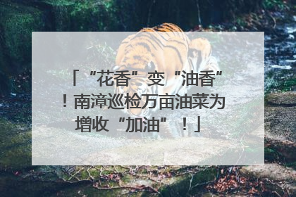 “花香”变“油香”！南漳巡检万亩油菜为增收“加油”！