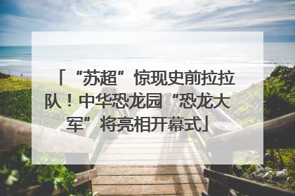 “苏超”惊现史前拉拉队！中华恐龙园“恐龙大军”将亮相开幕式