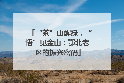 “茶”山醒绿，“悟”见金山：鄂北老区的振兴密码