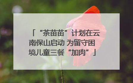 “茶苗苗”计划在云南保山启动 为留守困境儿童三餐“加肉”