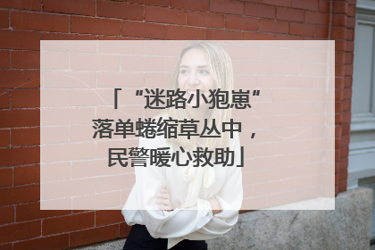 “迷路小狍崽”落单蜷缩草丛中，民警暖心救助
