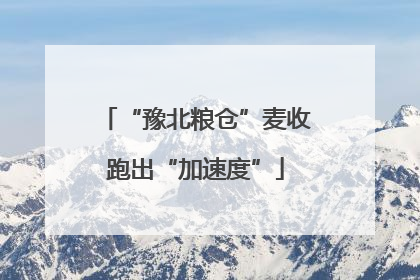 “豫北粮仓”麦收跑出“加速度”