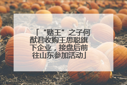 “赌王”之子何猷君收购王思聪旗下企业，接盘后前往山东参加活动