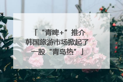 “青啤+”推介 韩国旅游市场掀起了一股“青岛热”