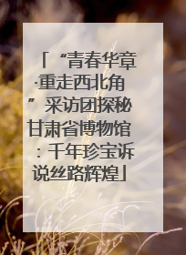 “青春华章·重走西北角”采访团探秘甘肃省博物馆：千年珍宝诉说丝路辉煌